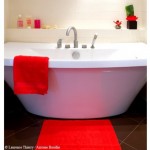 tapis salle de bain rouge et noir