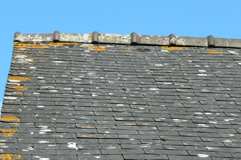 tapis salle de bain parme